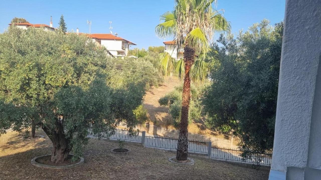Holiday Aptm - Morningsun2 - Sithonia Áyios Nikólaos Ngoại thất bức ảnh
